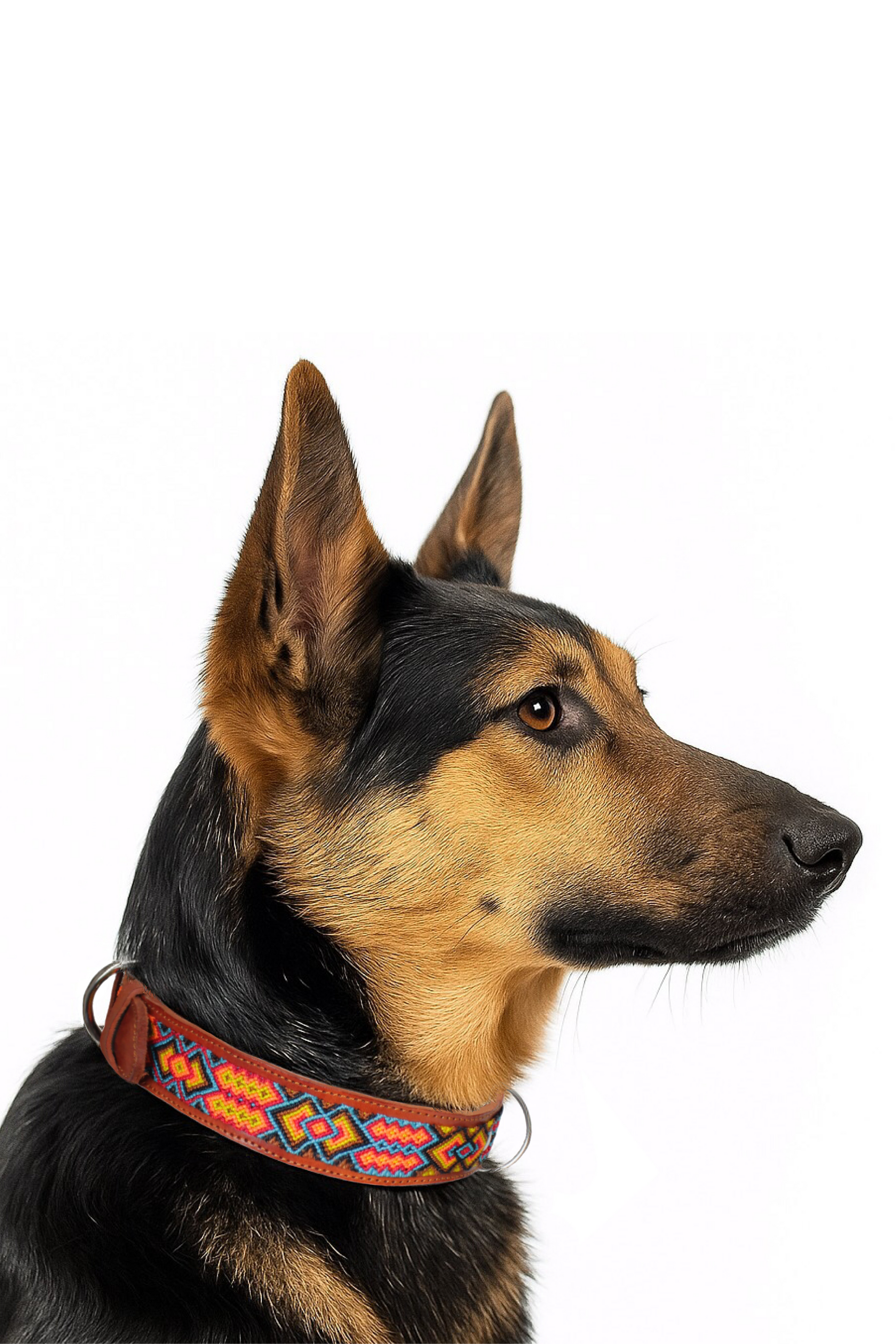 Hunde-Halsband in Kaffee Braun, Boho-Stil, für mittelgroße bis große Hunde, mit Leder und dekorativen Nähten, von Glueck und Fund
