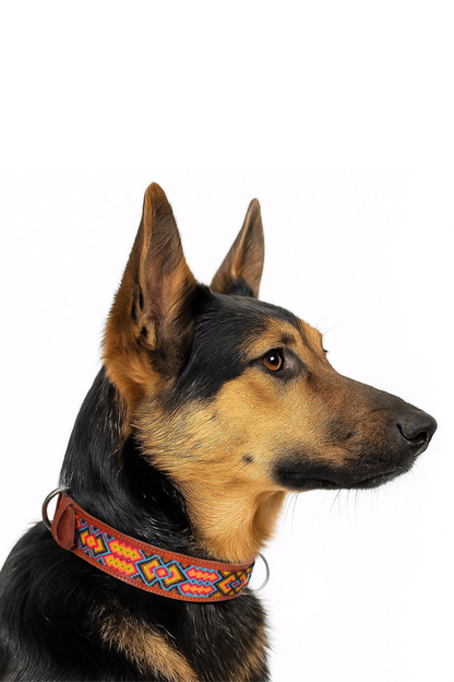 Hunde-Halsband in Kaffee Braun, Boho-Stil, für mittelgroße bis große Hunde, mit Leder und dekorativen Nähten, von Glueck und Fund