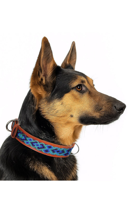 Mexikanisches Hundehalsband in Kaffee Braun für Hunde, Größen M, L, XL, aus strapazierfähigem Material, von Glueck und Fund
