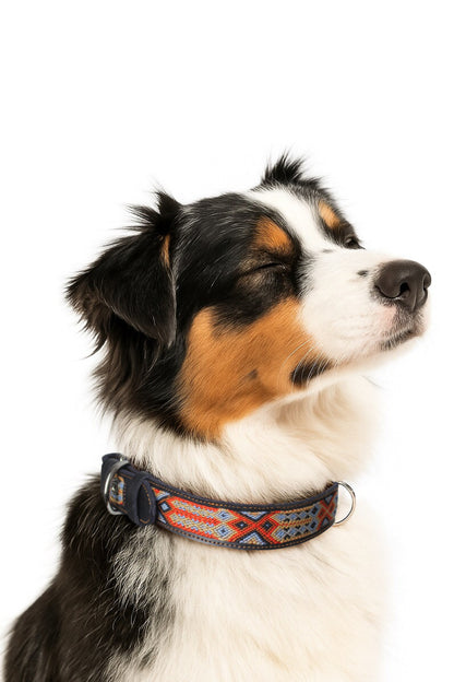 Schwarzes mexikanisches Hundehalsband von Glueck und Fund in den Größen M, L, XL, mit buntem Muster für Haustiere