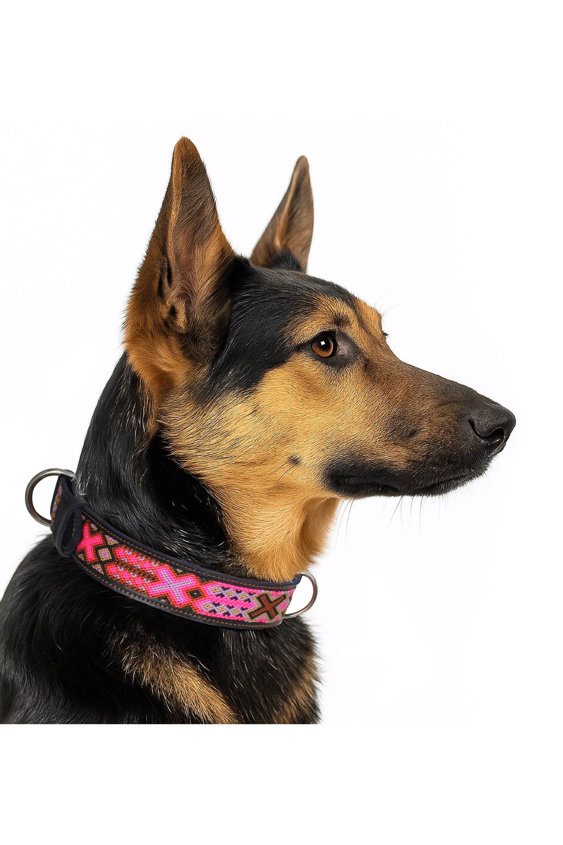 Schwarzes Hundehalsband von Glueck und Fund in den Größen M, L, XL mit pinken Akzenten, für Haustiere geeignet