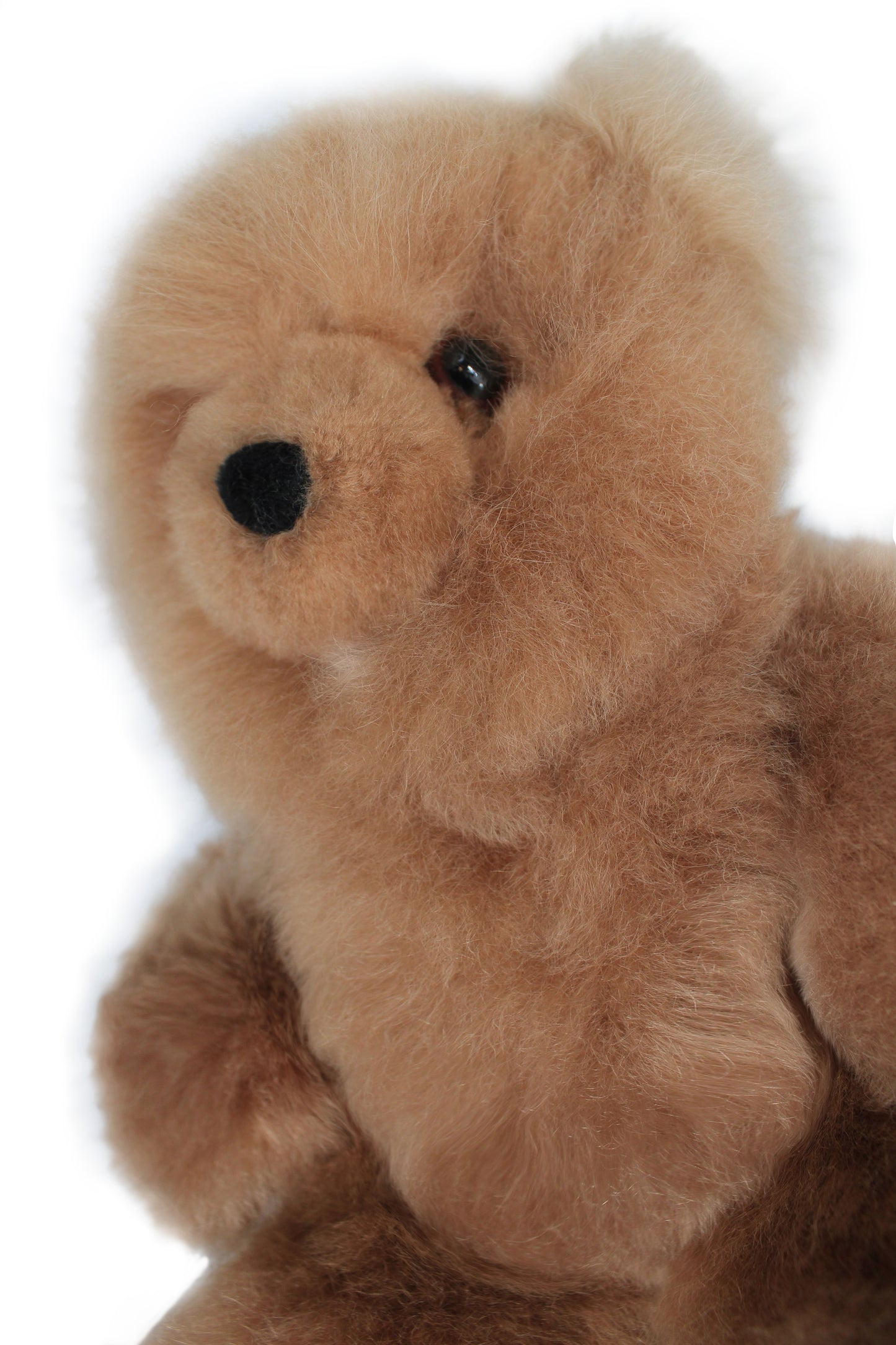 Beiger Alpaka-Teddybär aus Kuscheltier von Glueck und Fund, weiches Plüschtier mit süßem Gesicht, ideal zum Kuscheln